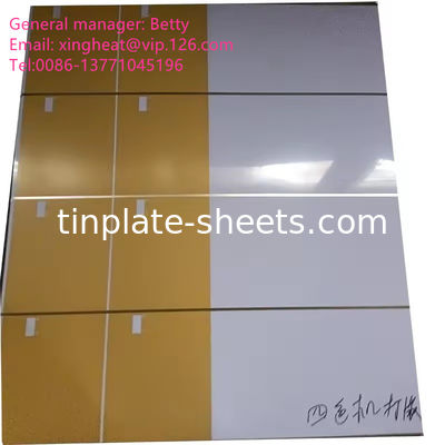BA Verzilvering van elektrolytische tinplate voor tinplateplaten met tincoating 1.1/1.1 2.2/2.2 2.8/2.8 5.6/5.6 2.0/2.0 2.8/5.6