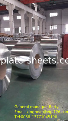 T2-T5 Tempered Tinplate Platen Met Moderne En Stijlvolle Matt Finish