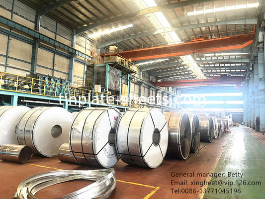 Matt Finish Tin Free Steel Strip 60-140mg/m2 Chroomcoating en 600mm-907mm Breedte